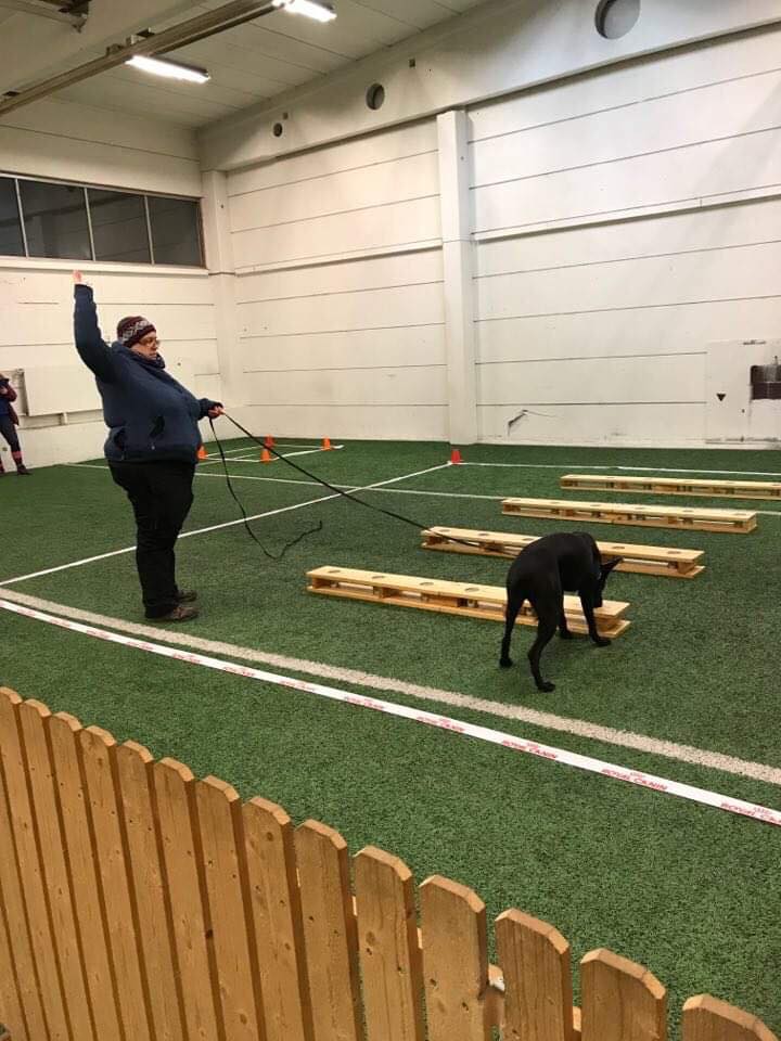 Treningsboks til søksarbeide