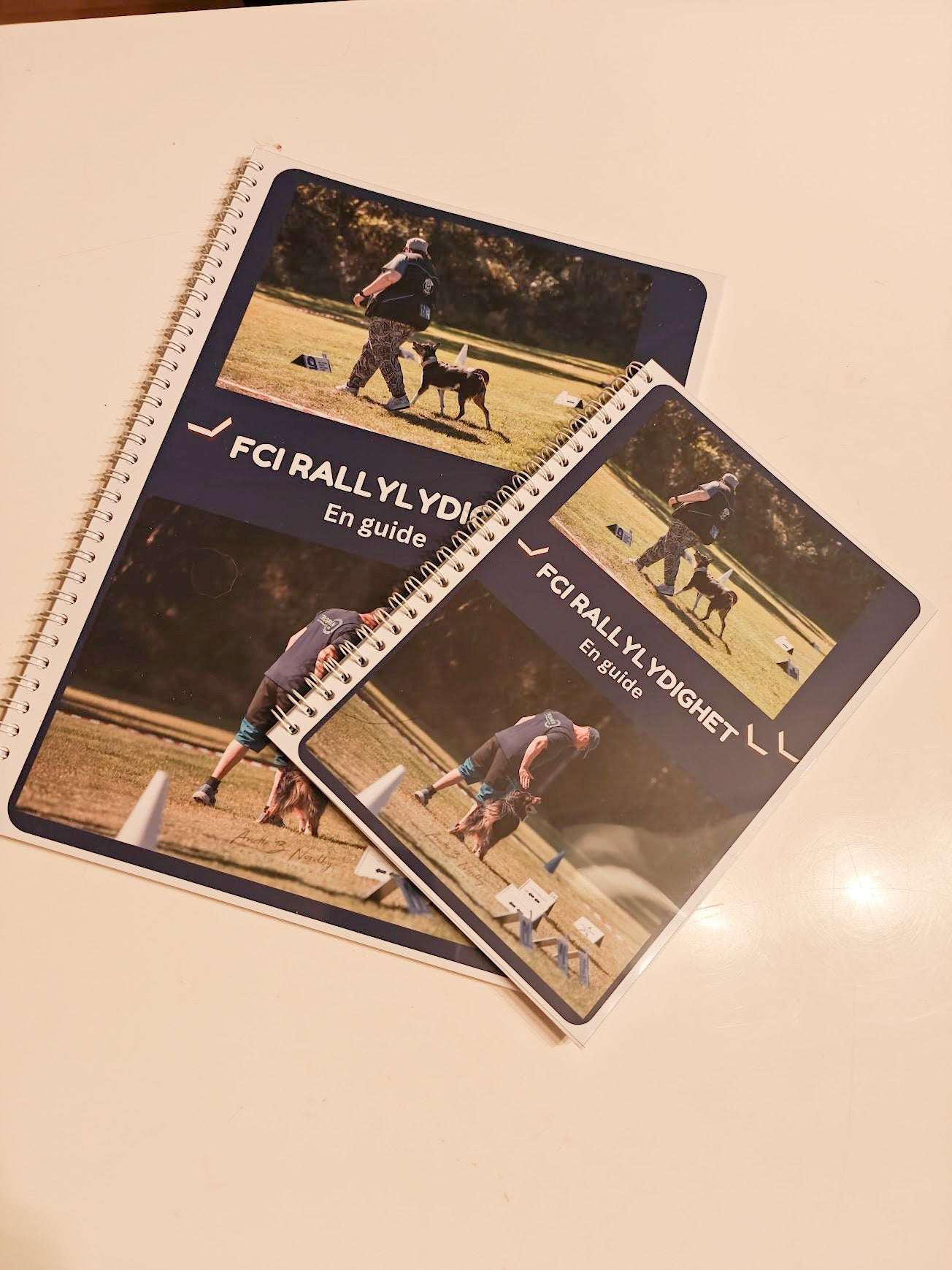 FCI Rallylydighetsguiden