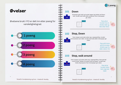 FCI Rallylydighetsguiden A4