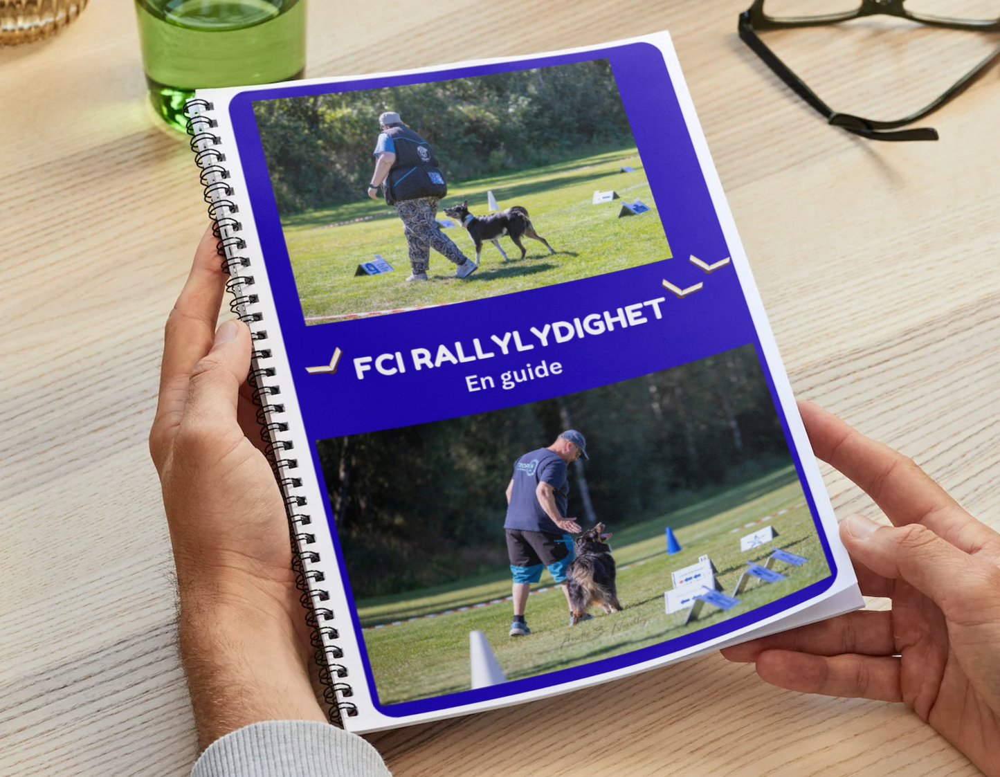 FCI Rallylydighetsguiden A4